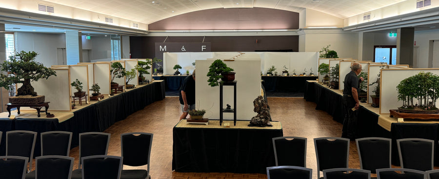 Community bonsai and pottery photograph