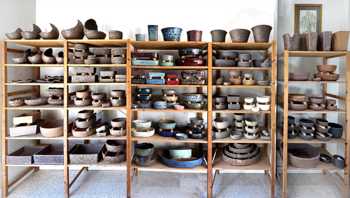 Handmade Pots for Bonsai