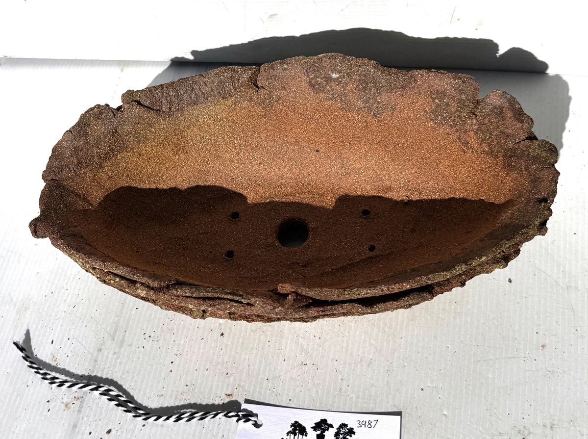 31cm Oval Brown Woodash Layered Finish Stoneware Unglazed Bonsai Pot