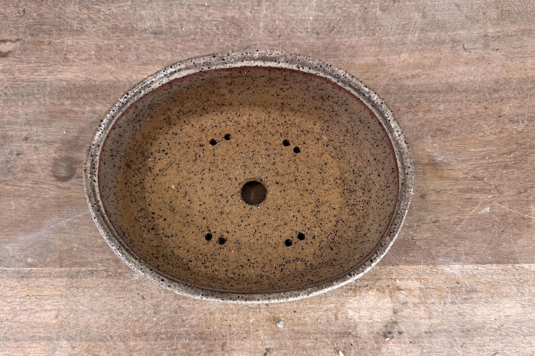 Oval 21cm Green Glazed Stoneware Bonsai Pot