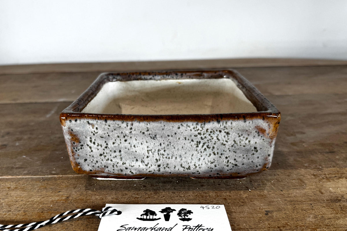 Square 17.5cm White and brown Glazed Stoneware Bonsai Pot